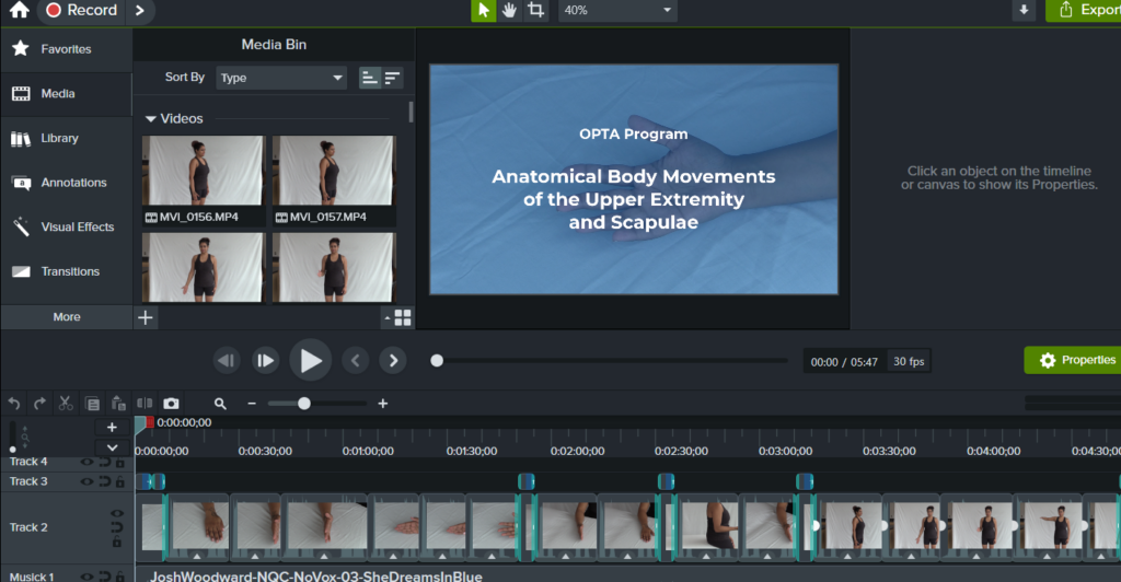 A screenshot of the user interface of a video editing program.